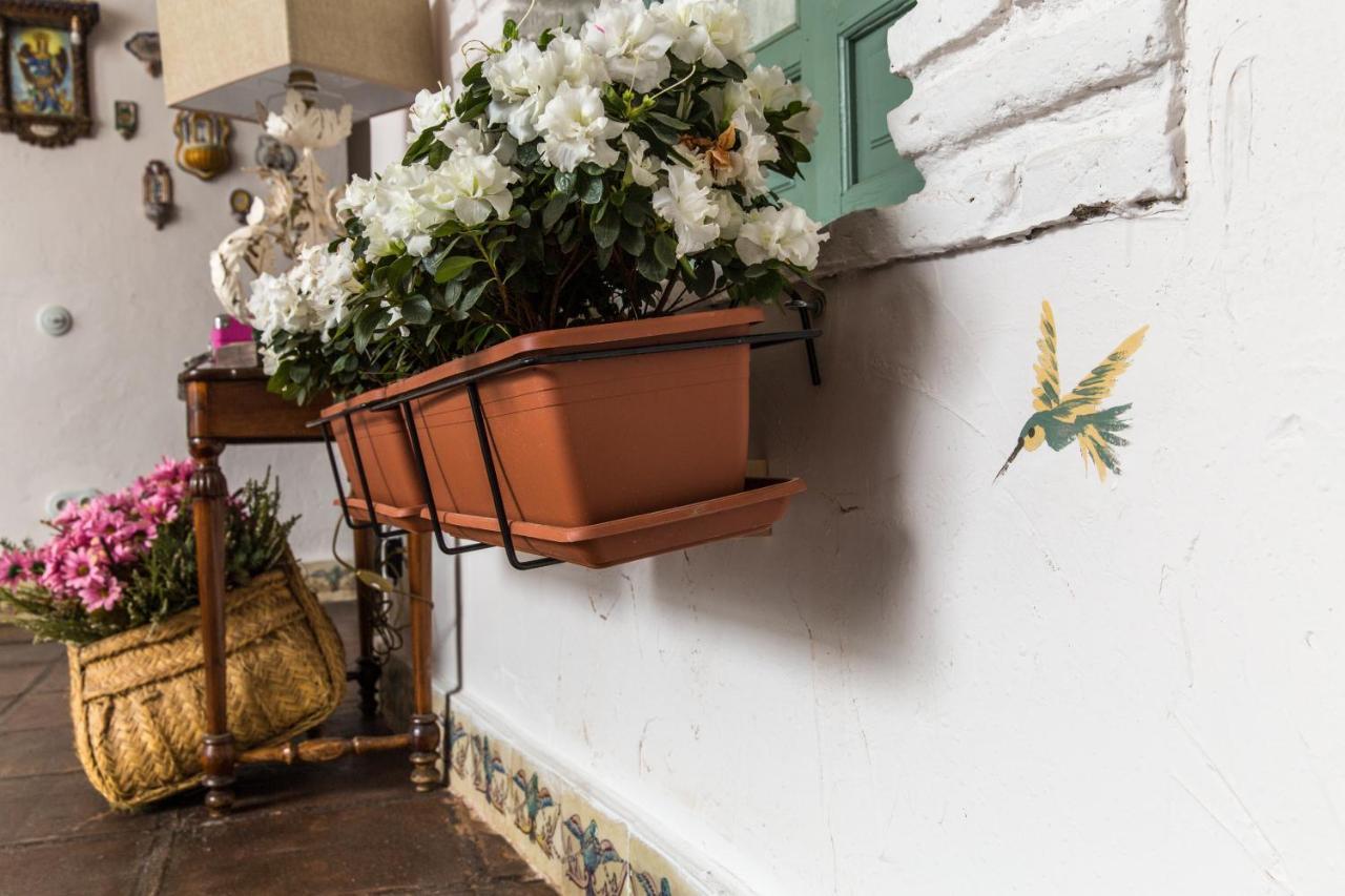 Patio Marquez Bed & Breakfast Cordoba Exterior photo